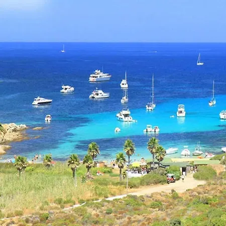 Lägenhet Les Capitelles Calvi *